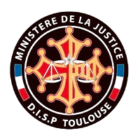 disp toulouse logo removebg preview